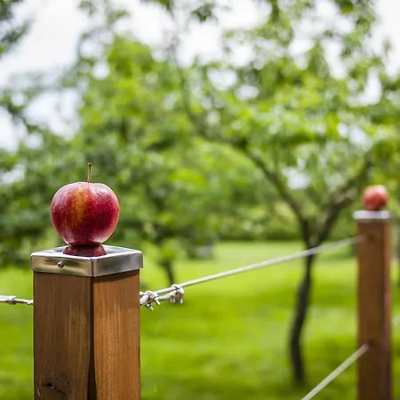 Appleslounge Bed & Breakfast