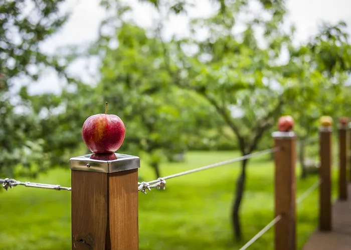 Appleslounge فندق مبيت وإفطار